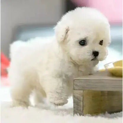 🎁Last Day Promotion 50% OFF🐶 My Realistic Robot Puppy