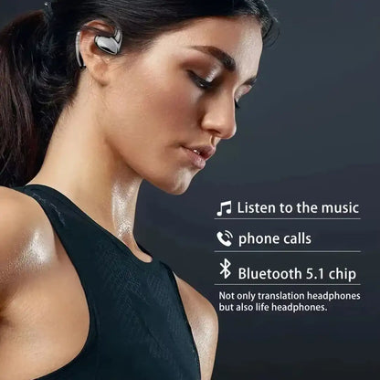 AilyMur v2 Translator Earbuds